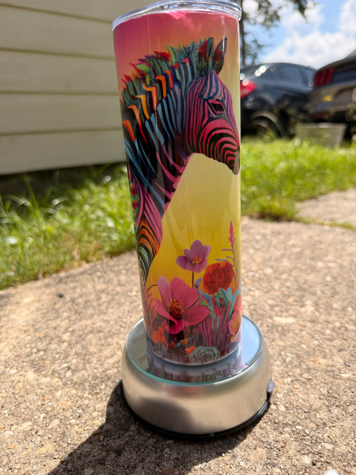 Colorful Zebra