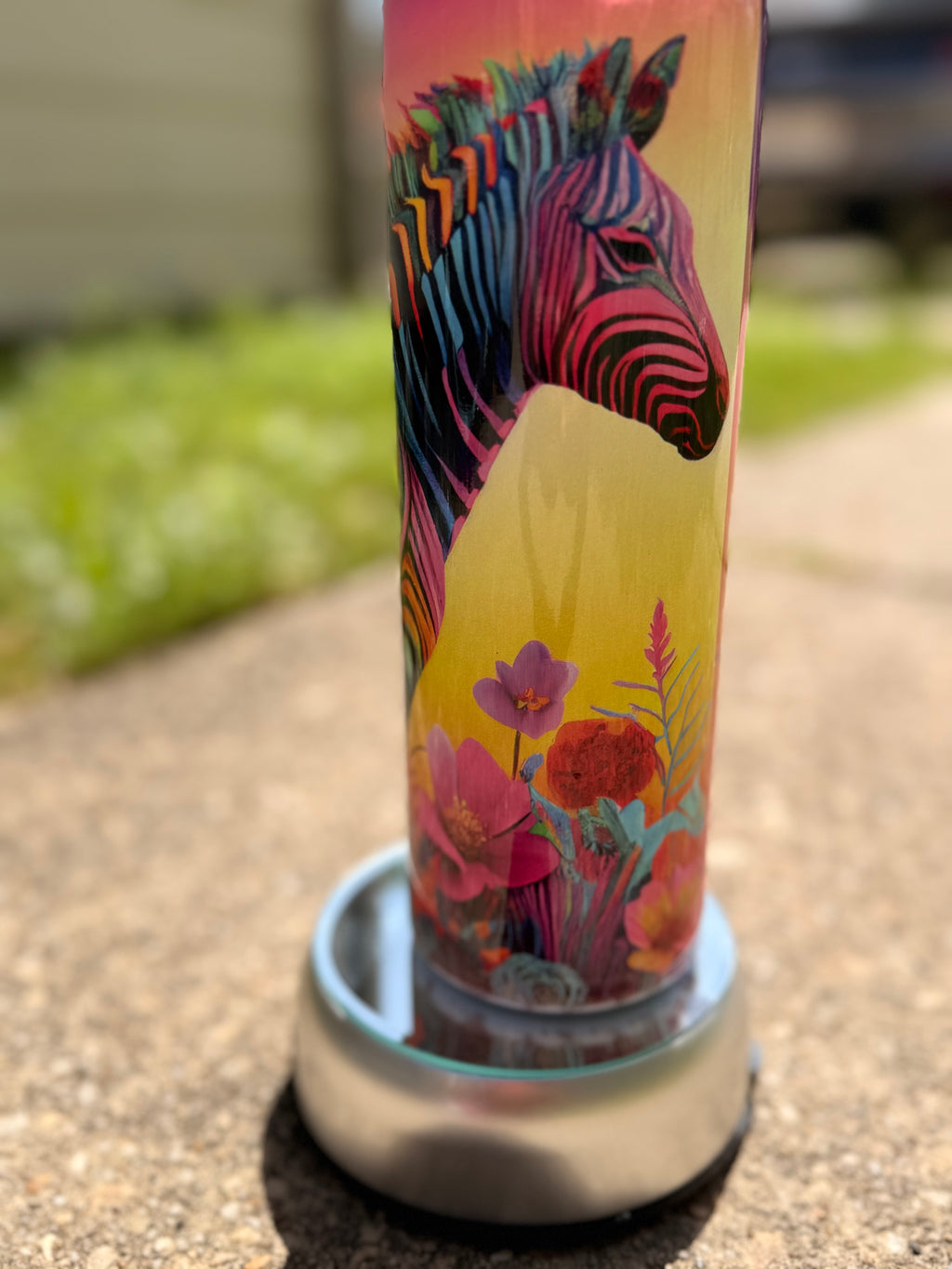 Colorful Zebra