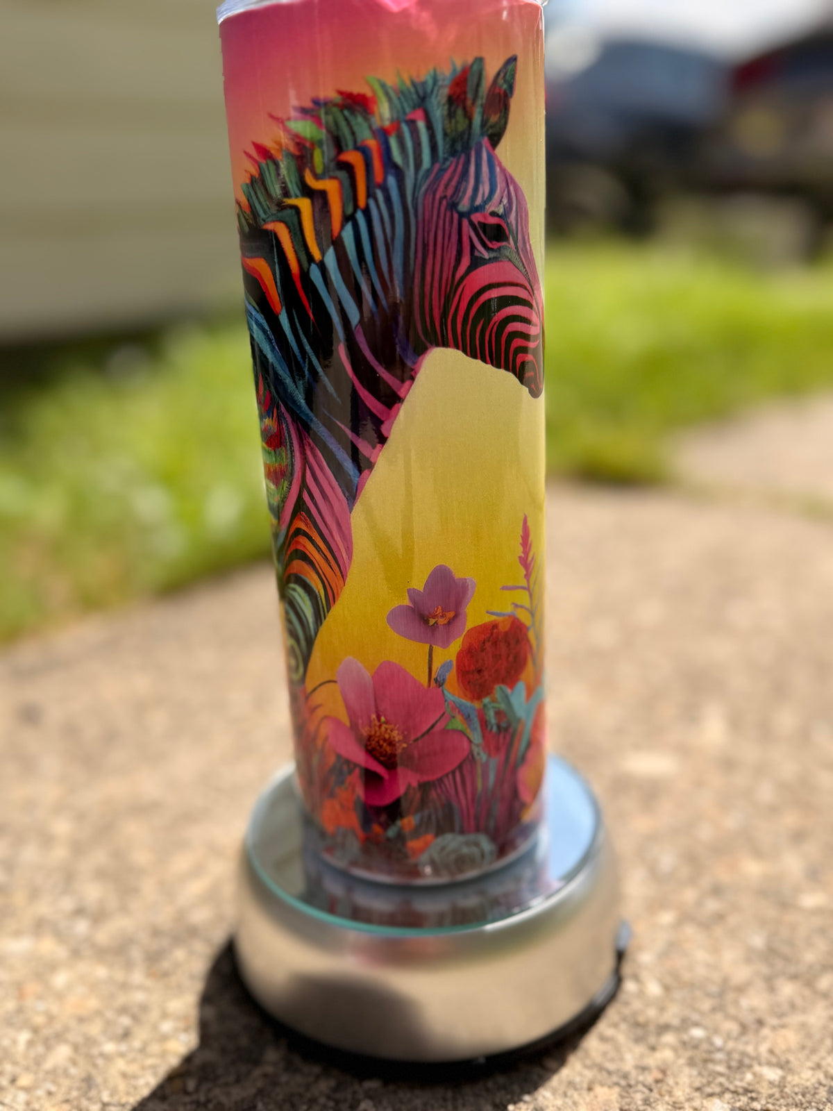 Colorful Zebra