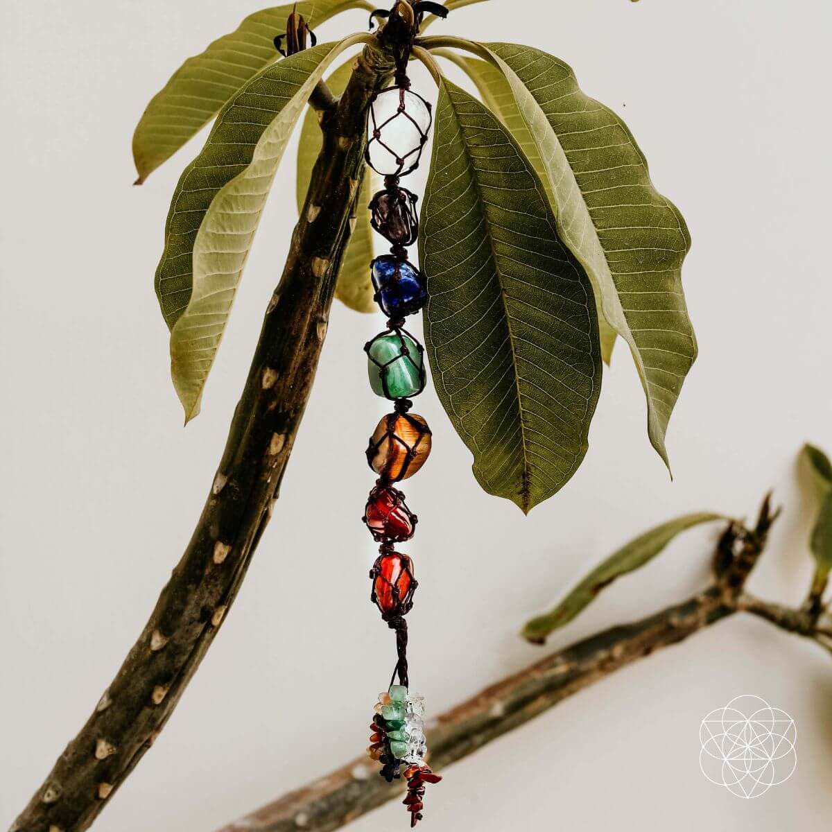 The 7 Chakra Healing Tassel